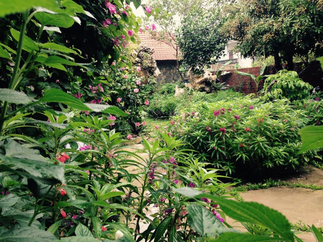 Mr. Viet Home Stay Ninh Binh Exterior foto