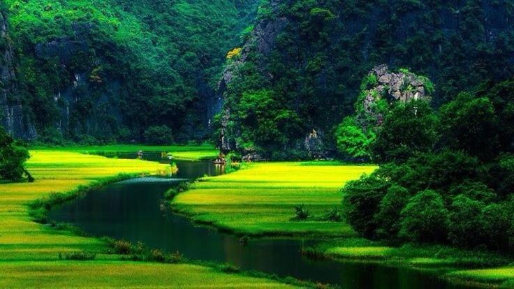 Mr. Viet Home Stay Ninh Binh Exterior foto