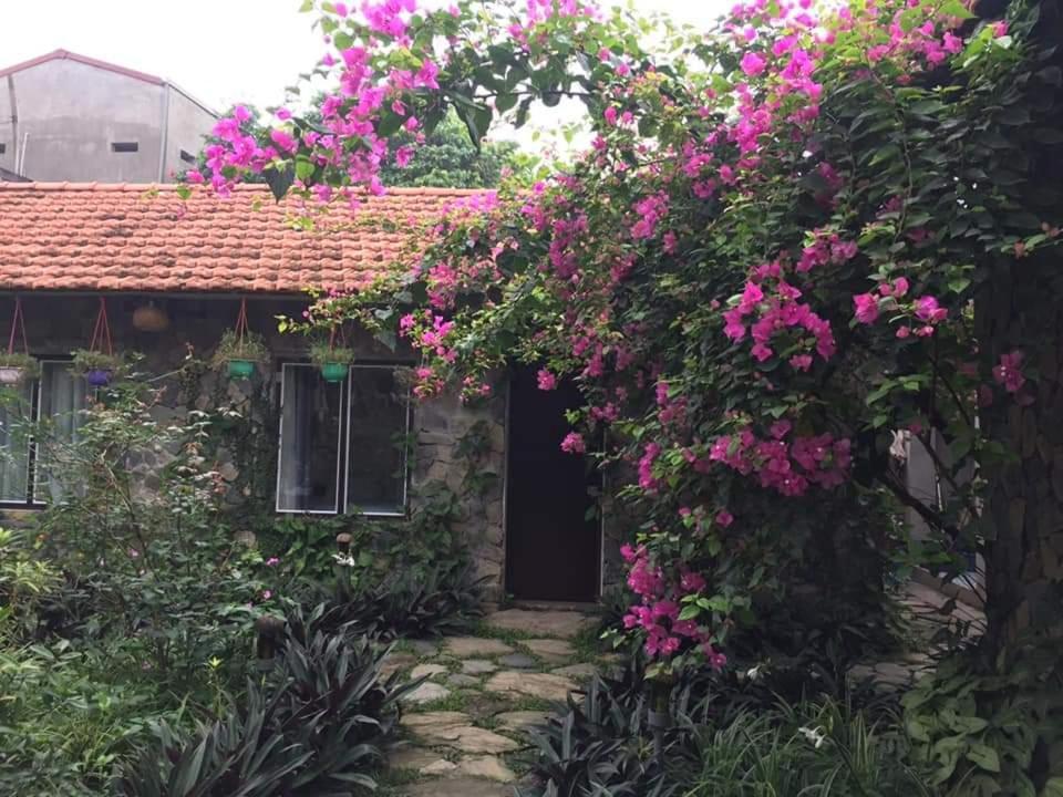 Mr. Viet Home Stay Ninh Binh Exterior foto